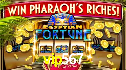 Cassino ao vivo com dealers reais na vip567